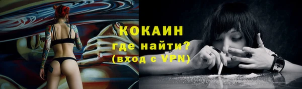 спайс Алзамай