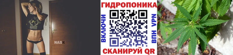 Каннабис сатива  даркнет сайт  кракен онион  Мураши 
